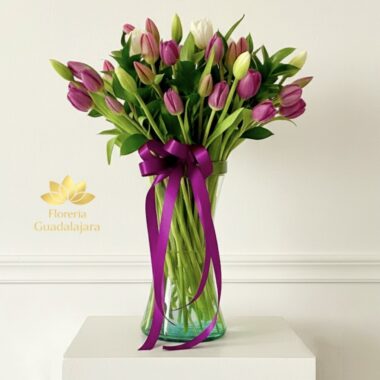 50 Tulipanes