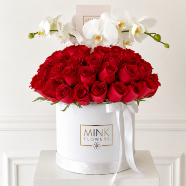 Caja Soho
