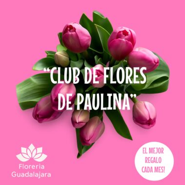 Suscripción Trimestral